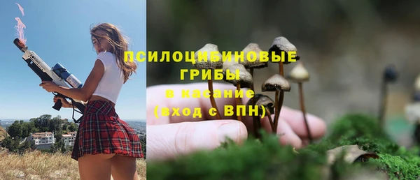 тгк Бугульма