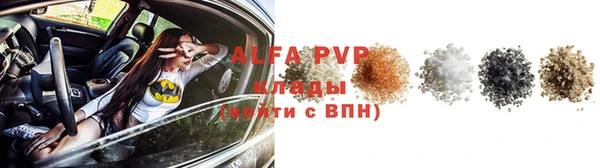 сатива Бронницы