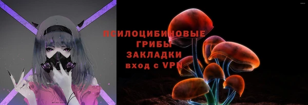 сатива Бронницы